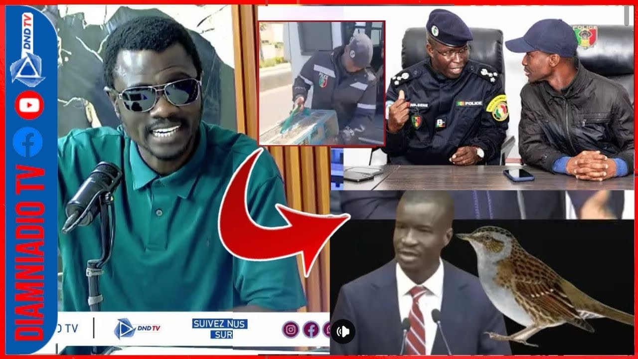 Vente d’oiseaux interdite : Modou Fall pulvérise le ministre de l’Intérieur Mouhamadou Bamba Cissé