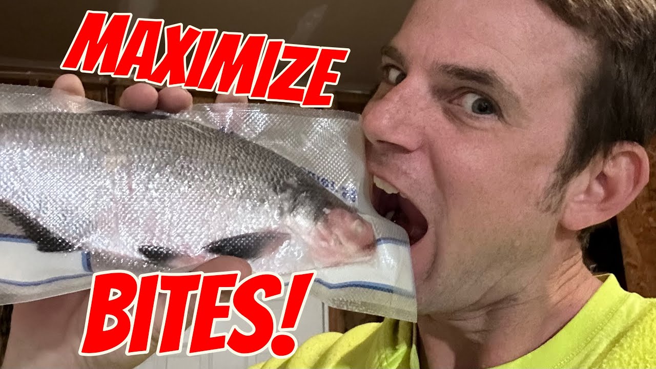 3 easy steps: The best way to freeze shad
