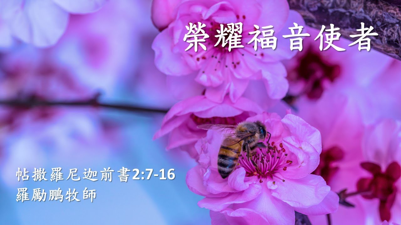 WSCCC Cantonese Service 2020 08 30 HD