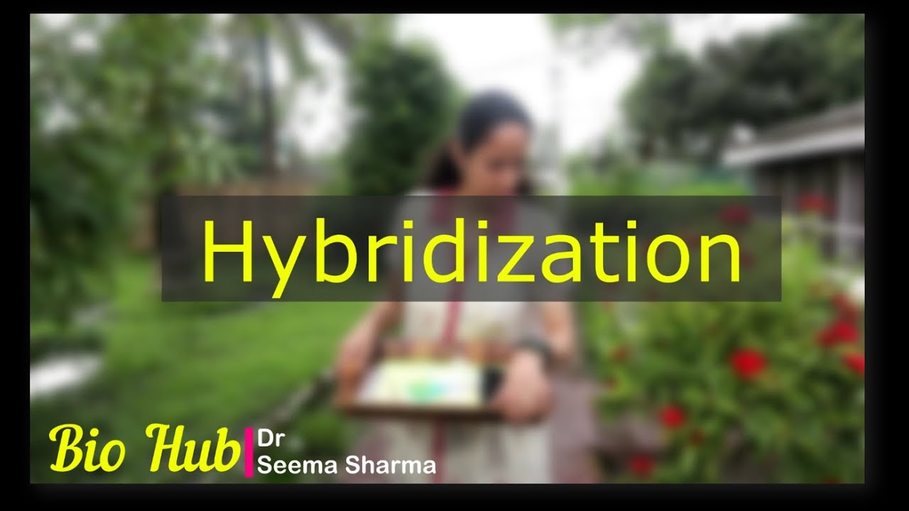Hybridization Experiment on Flowers