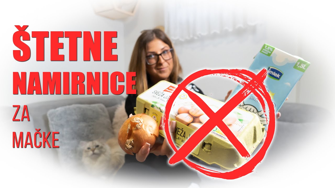 Štetne namirnice za mačke (ENG / GER subtitle included)