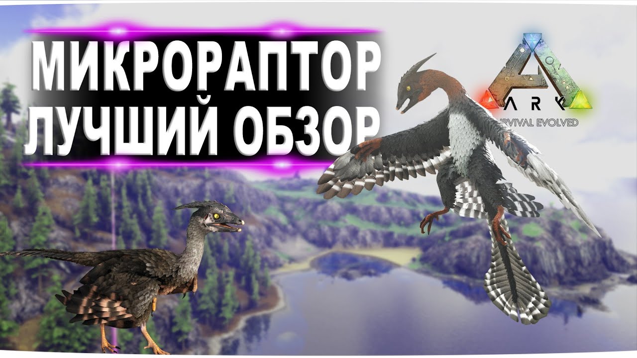 Микрораптор (Microraptor) в АРК. Лучший обзор: приручение, разведение и способности в ark