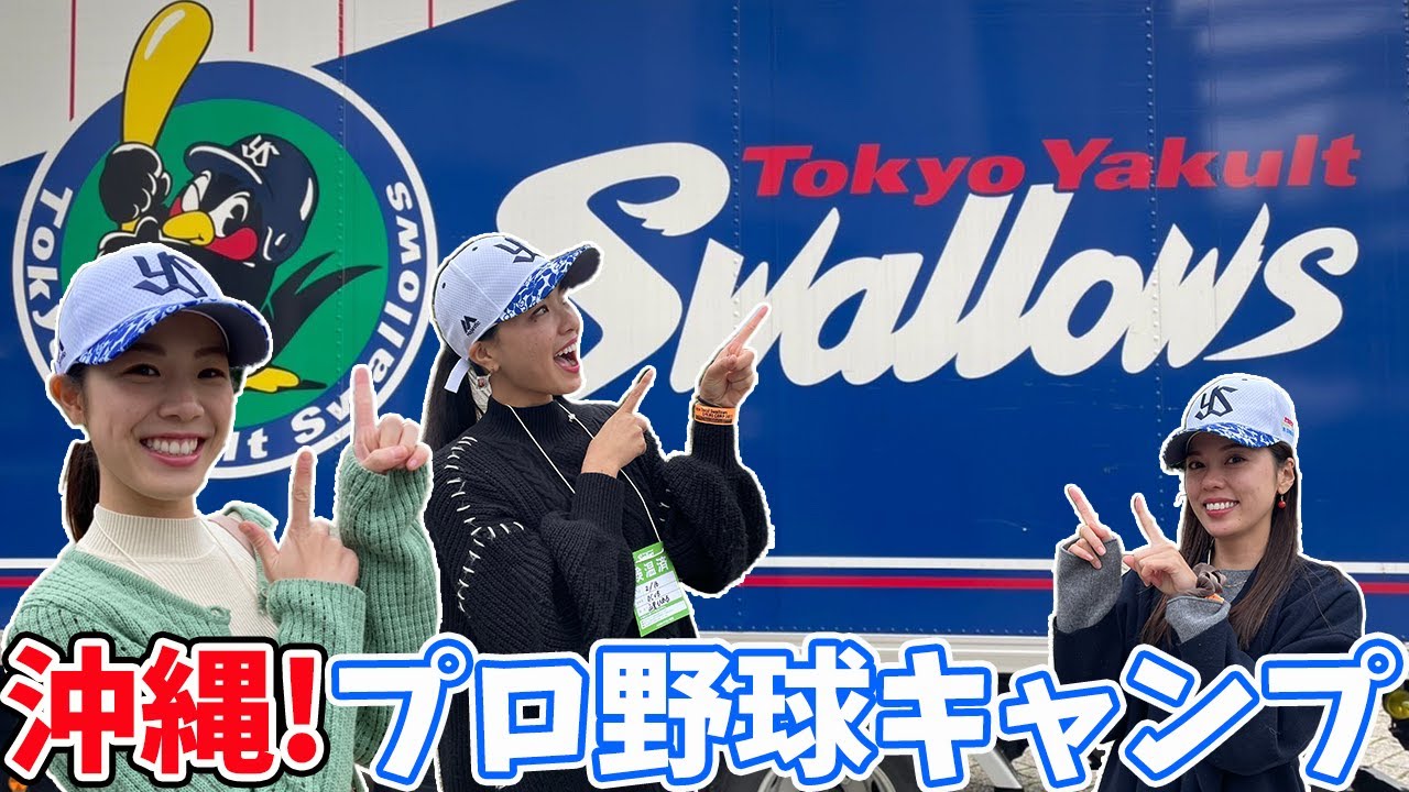 【プロ野球キャンプ】東京ヤクルトスワローズのキャンプの様子をお届けいたします♫【沖縄中部】