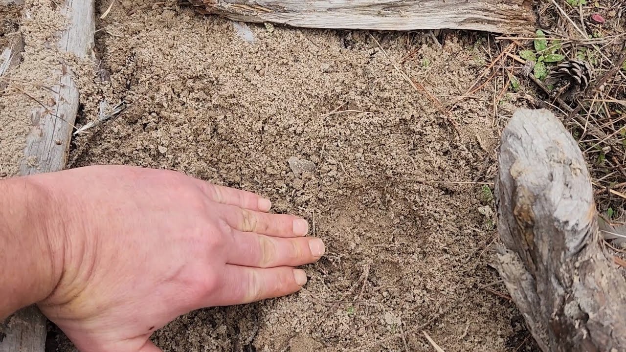 Bobcat Trapping Tips Creeks and Rivers