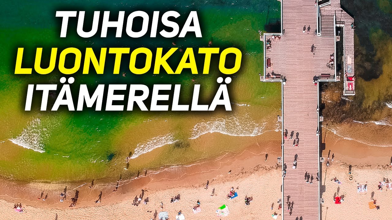 SUOMEN MERILUONTO KÖYHTYY VAARALLISTA VAUHTIA, MIKÄ AVUKSI?
