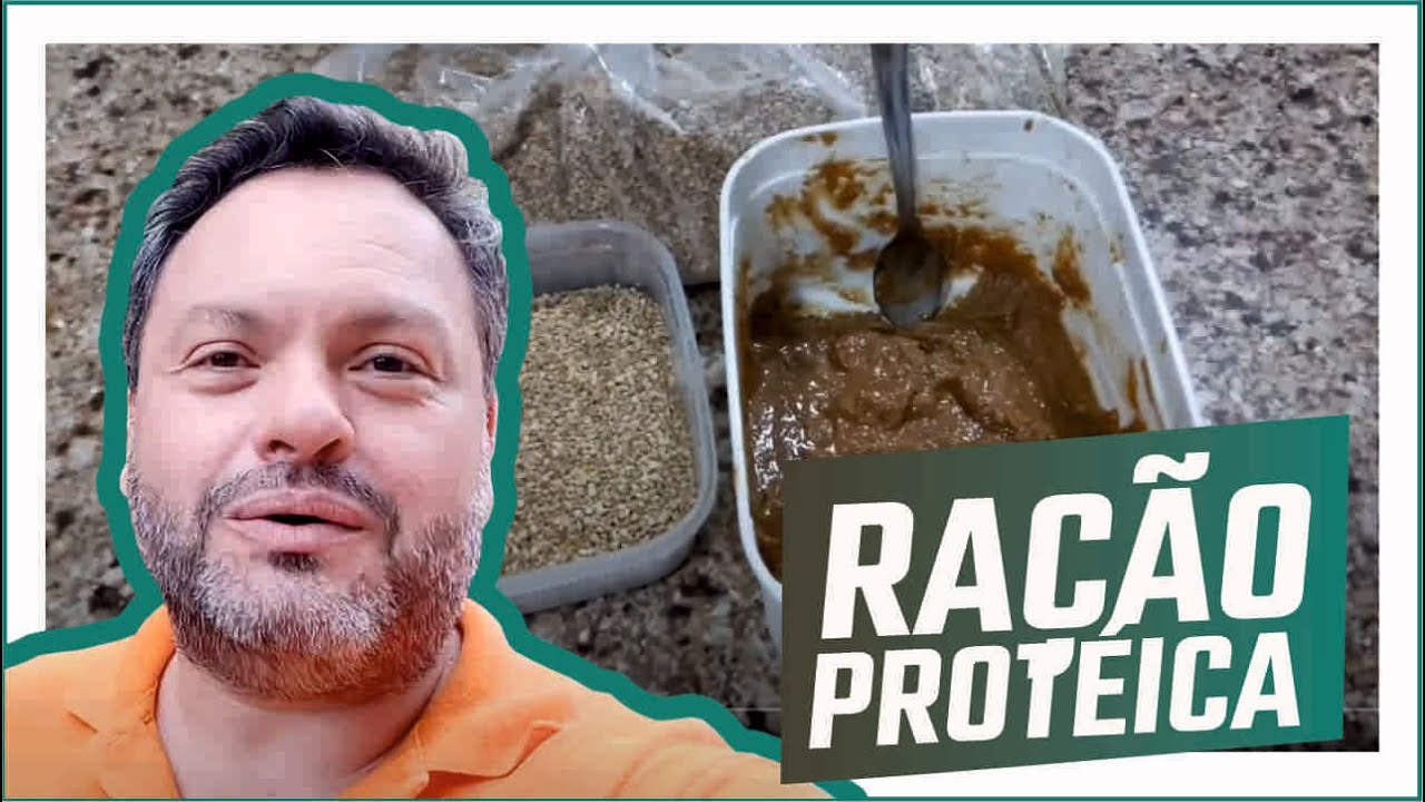 RAÇÃO PROTÉICA para ABELHAS URUÇÚS. APRENDAM a FAZER!