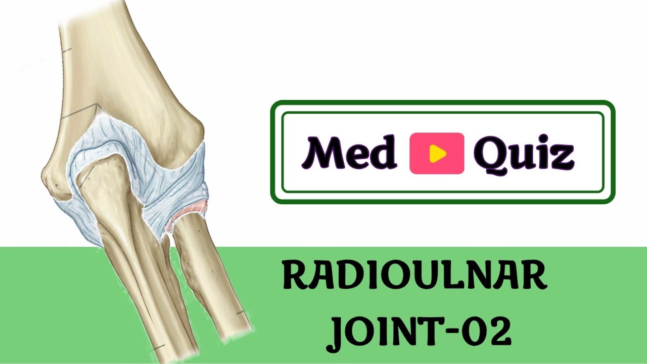 Radioulnar joint-02/upperlimb-39/ulnar/Anatomy Quiz/medical questions and answers/Mbbs quiz/Med Quiz