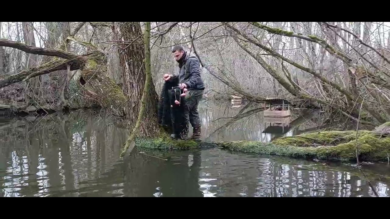 Création de frayères pour sandres et poissons blancs sur la Marne River Protect