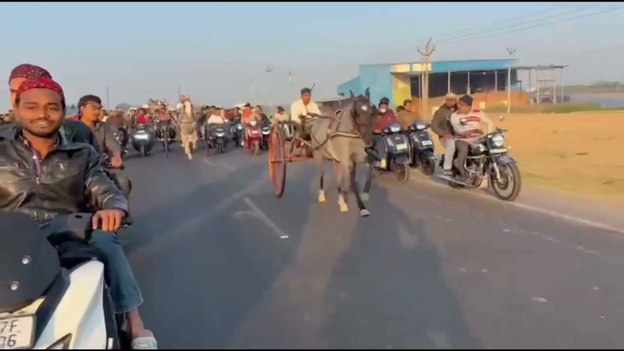 Ahmedabad horse race 28/2/26 Liger win 🏆 munaf bhai win 🏆 yaseen bhai win 🏆 