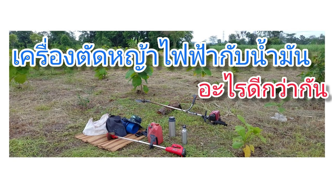เครื่องตัดหญ้าไฟฟ้ากับน้ำมันอะไรดีกว่ากัน