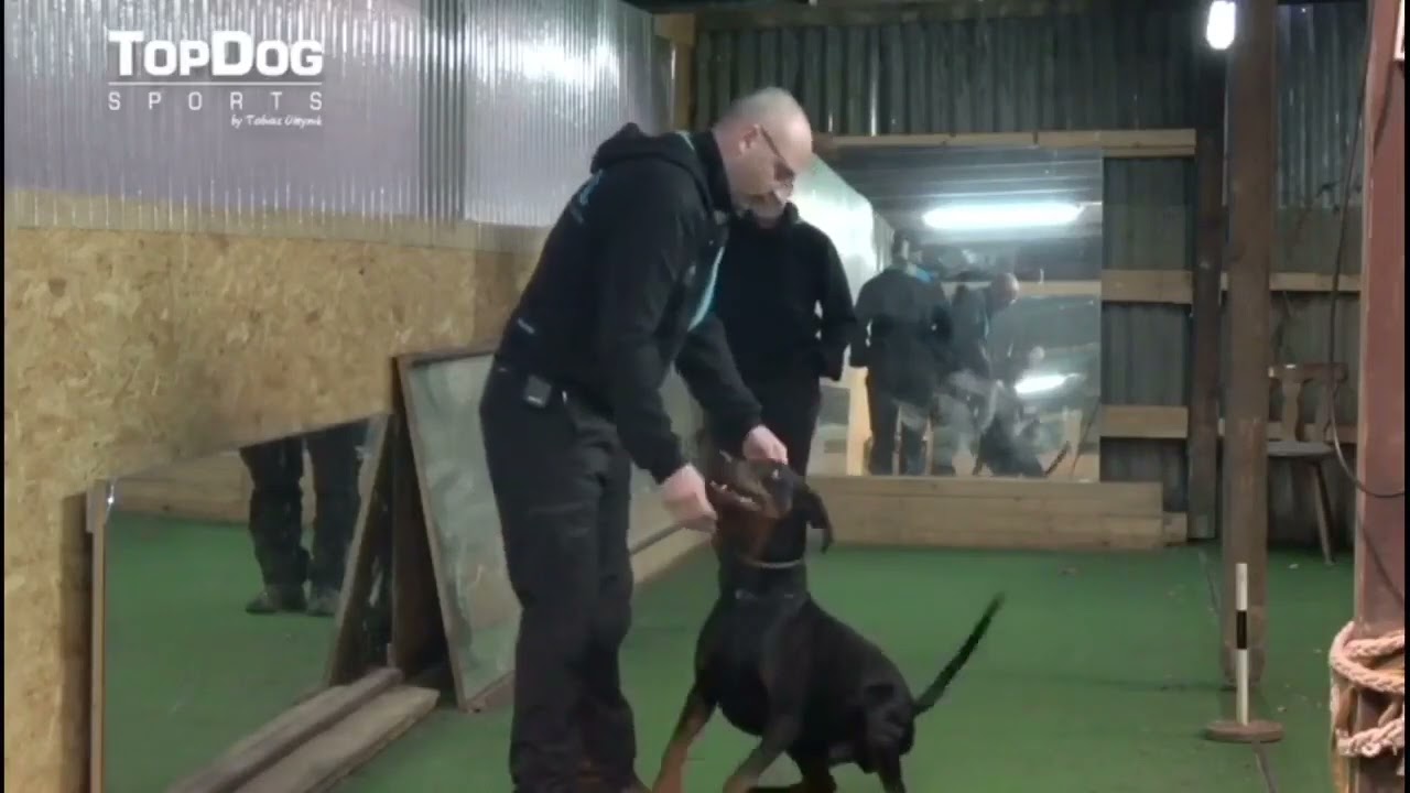 Tobias Oleynik TopDog Sports