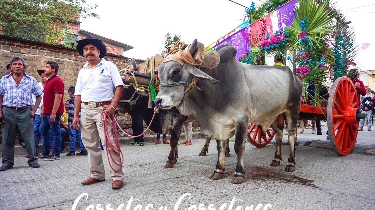 Calenda de Flores 2019 Santa Maria del Tule Virgen de la Candelaria 2019