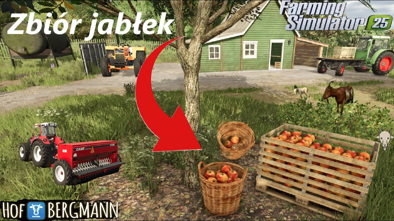 3 | FS25 Hof Bergmann 1.2 🚜 Zbiór jabłek - Test 🌾 Pierwsze zwierzęta Kozy