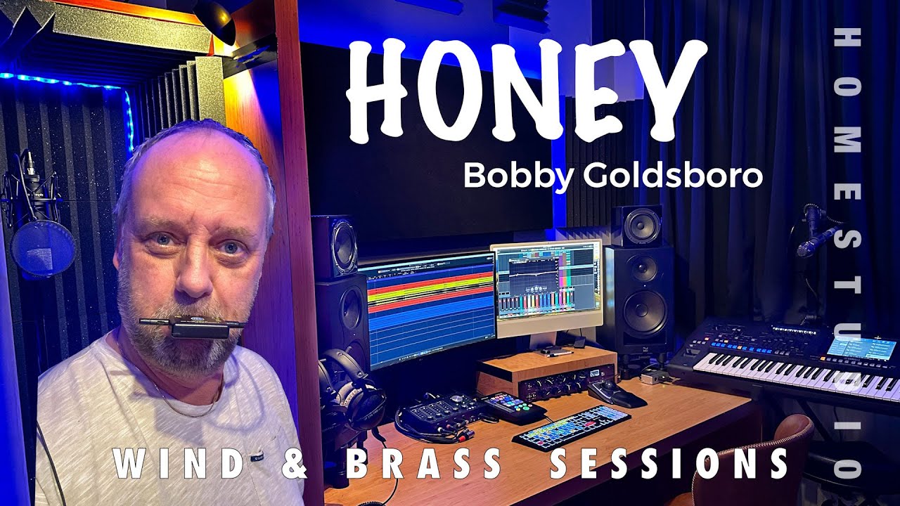 Honey (Bobby Goldsboro) Instrumental on Panflute