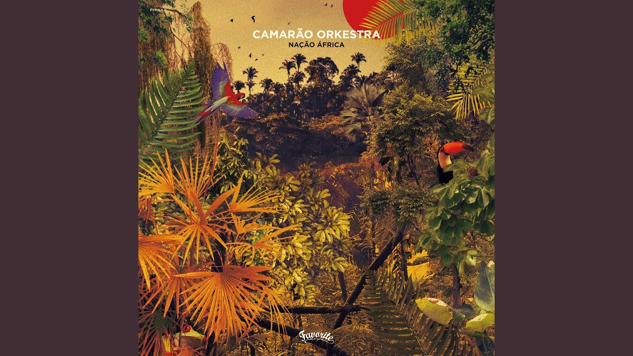 Dia De Verão