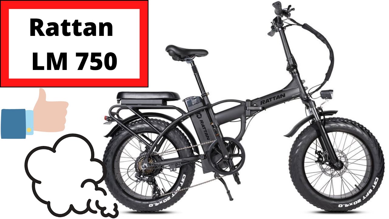 Rattan LM 750 Watt E-bike Unboxing/Assembly/ how to fix