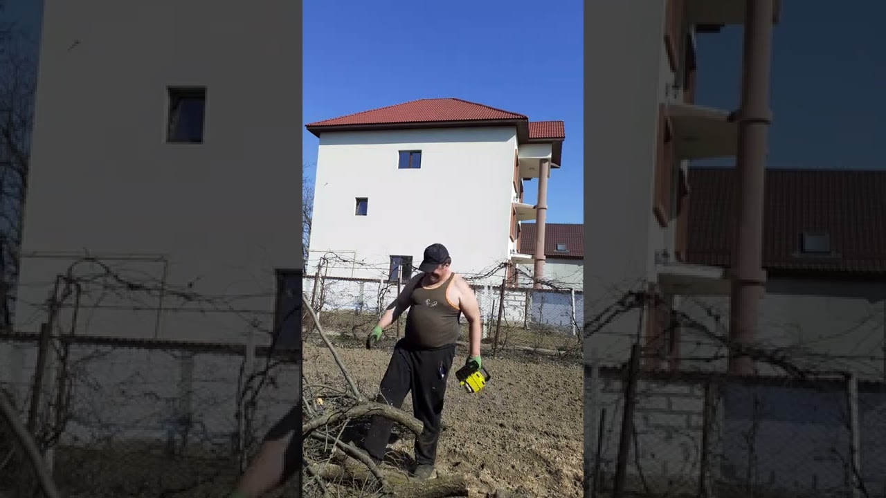 Bună Ziua!Am doborât și tăiat un prun bătrân cu drujba de forță Ryodel!