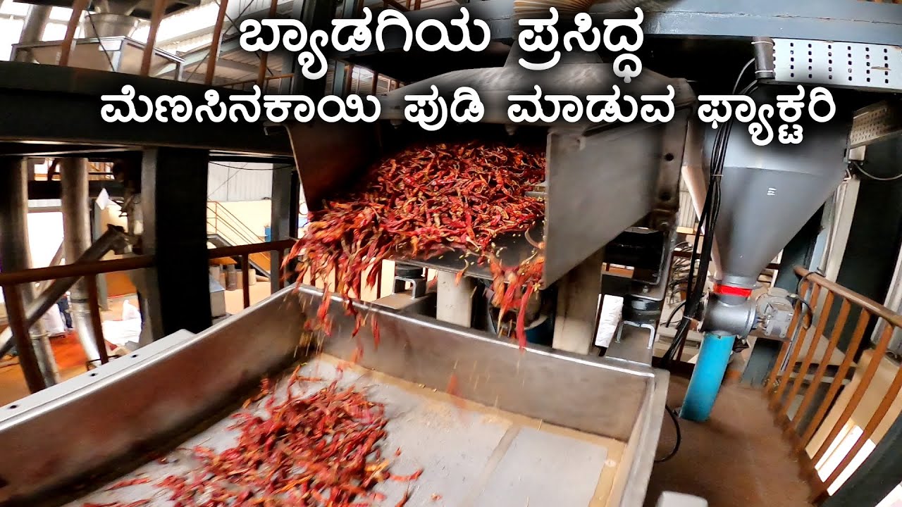 Byadagi Menasinakayi Powder Factory | SRP & Sunkapur Factory | Kannada Vlogs