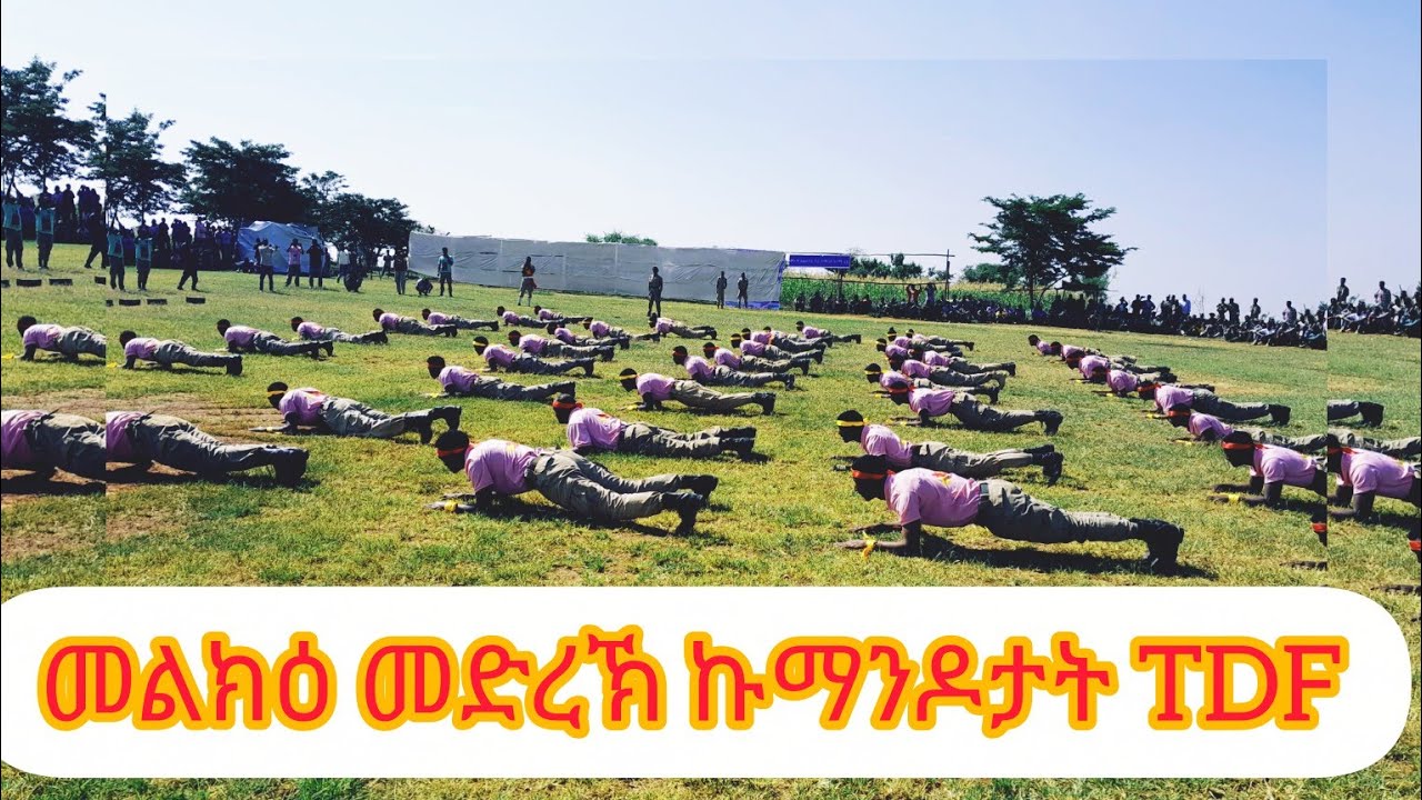 ምርኢት ኩማንዶን ሰልፍን ኣብ ምረቓ መፅሓፍን ራብዓይ ዓመት ምስረታን ኣርሚ 11