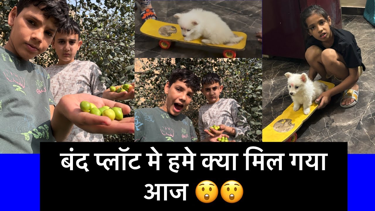 Day-45/365 हमे ये क्या मिला बंद पड़े हुए प्लॉट मे💪#daily vlog#viral #funny #vlog #blogger #video 