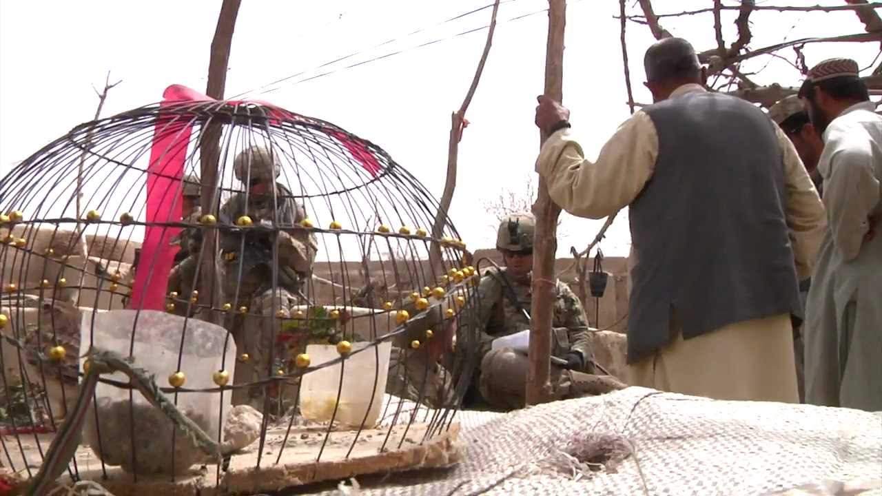 Clearance Operation at Nayeeb Kalay