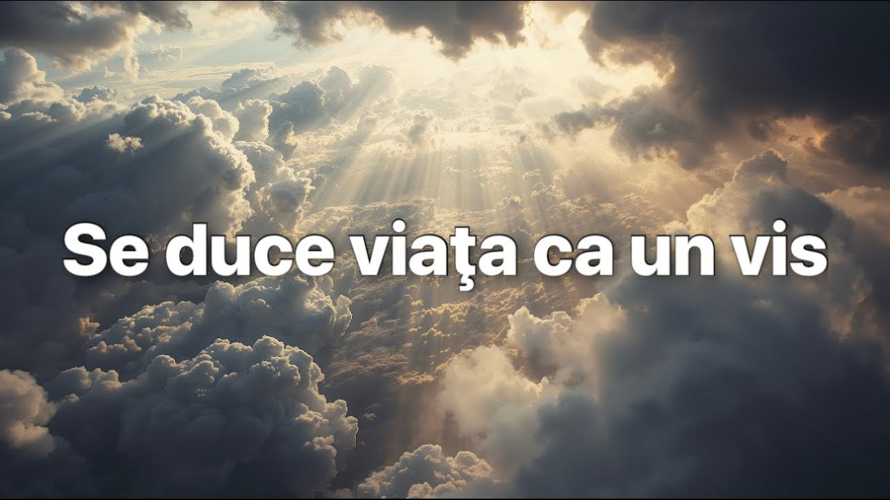 Se duce viața ca un vis (Cover)
