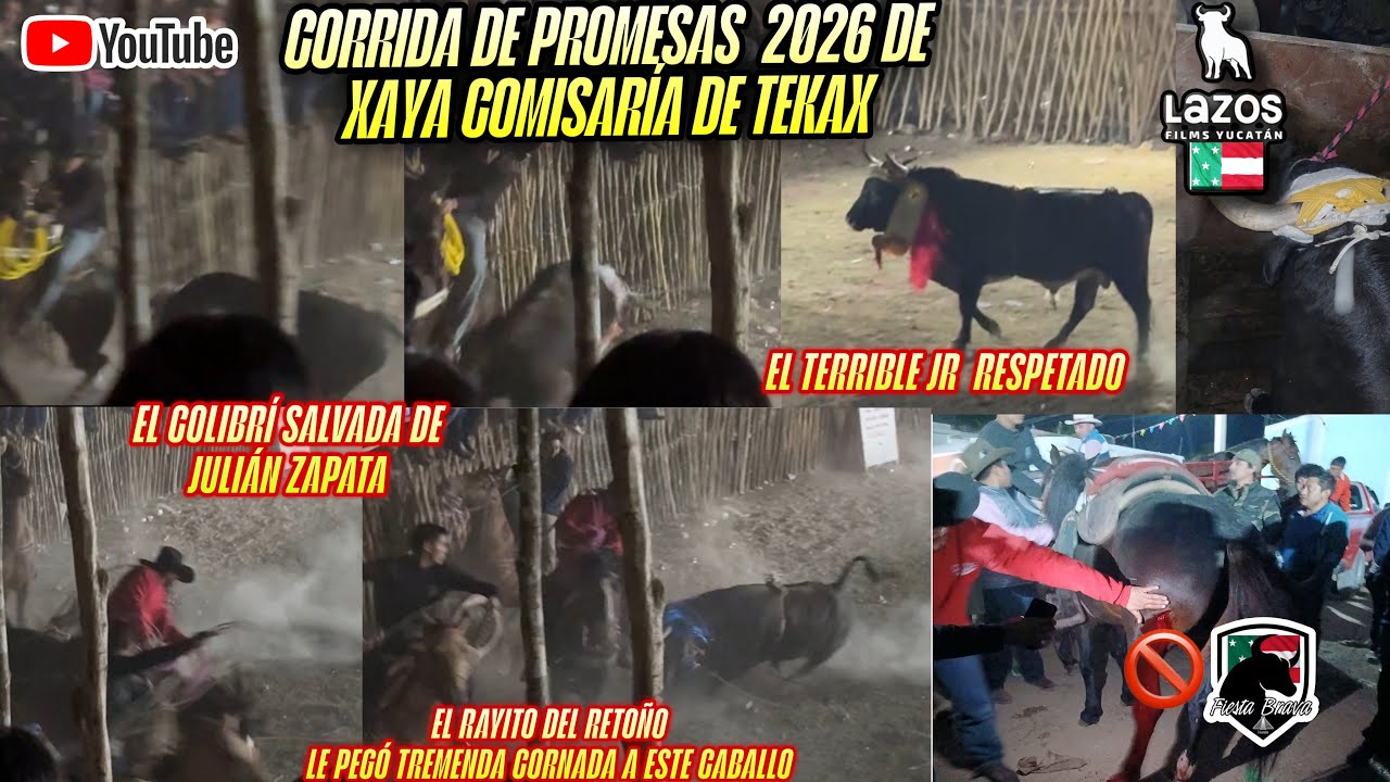 XAYA YUCATÁN Gran Corrida De Promesas  Edición 2026🎊🎉