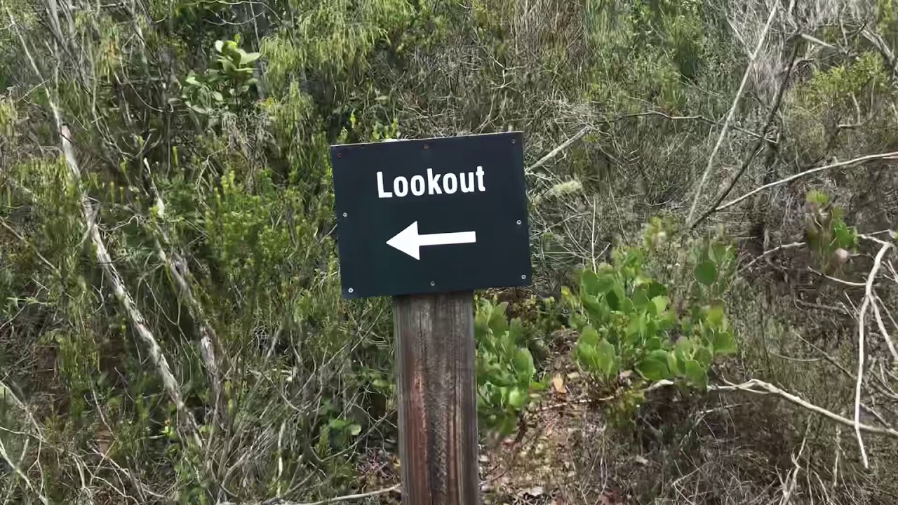 Garden Route TOP Highlight: Salt River Lookout - South Africa