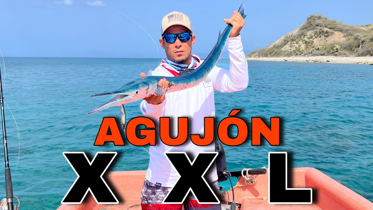 ¡PESCA DE AGUJÓN ENORME! MUCHO SIN VER UNO ASÍ | AHH Y OTRAS ESPECIES