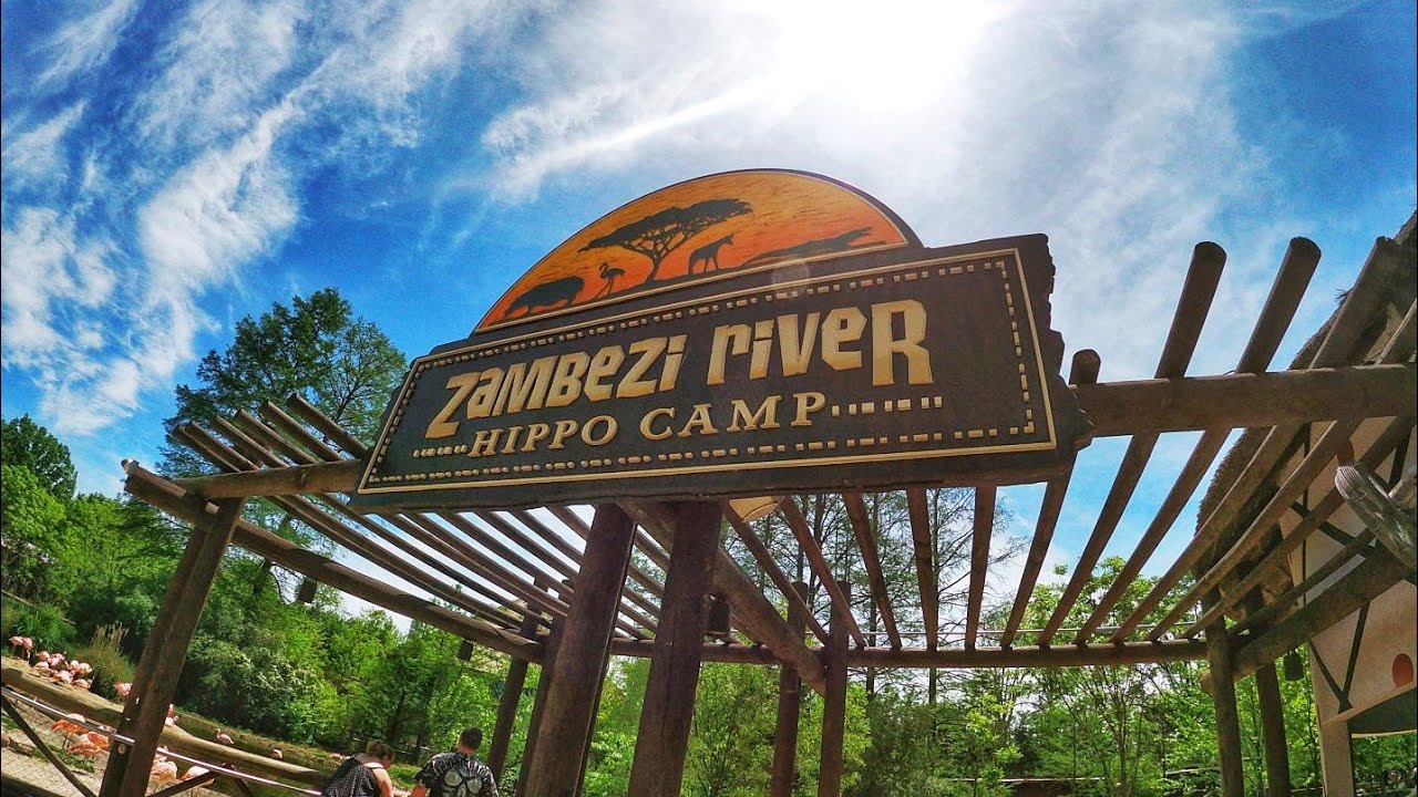 Zoo Tours: The Zambezi River Hippo Camp | Memphis Zoo (60 FPS)
