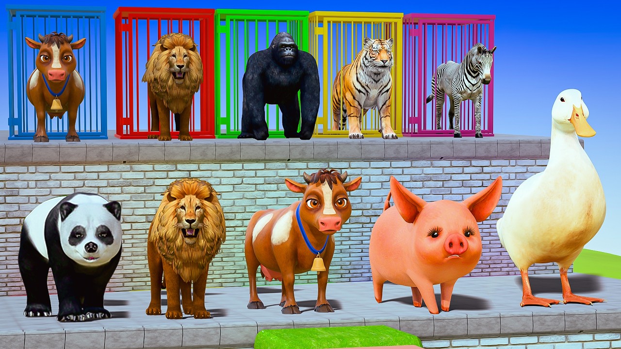 Long Slide Game with Colourful Duck Cow Tiger Gorilla Dog Elephant 3d Animal Game Funny 3d Animals