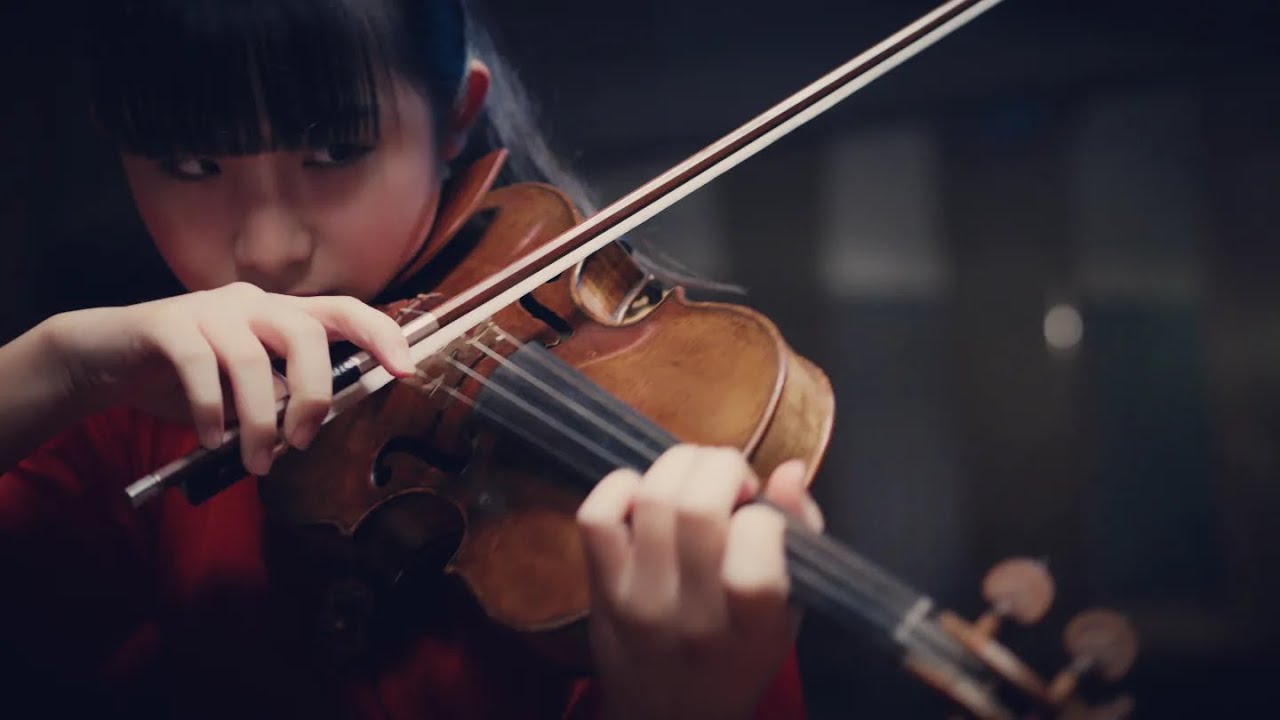 Sarasate : Caprice Basque Op. 24