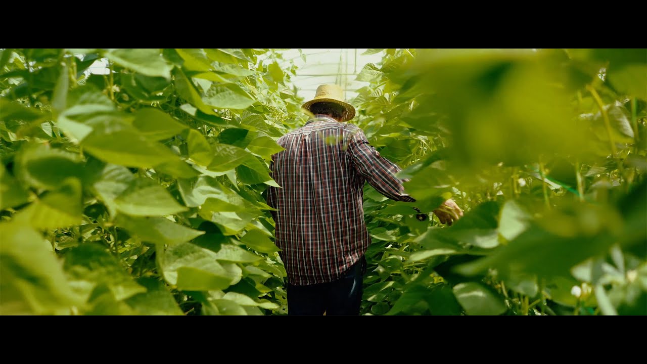 Consume producto local.