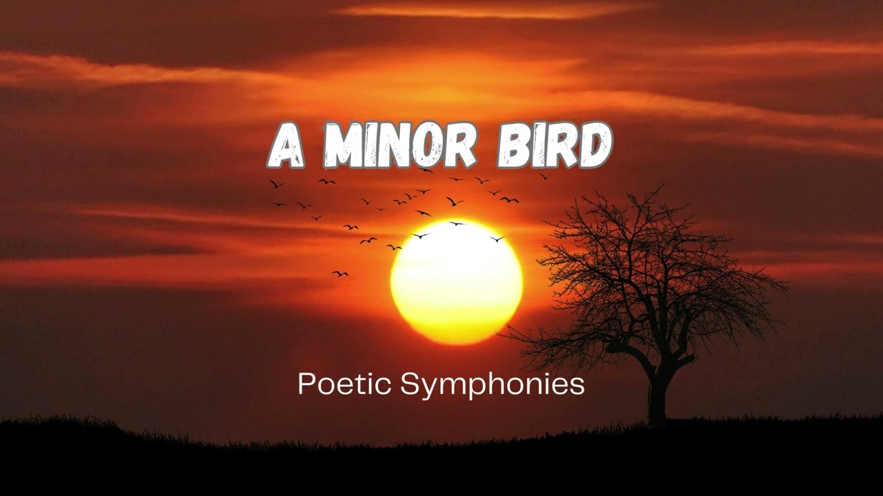 A Minor Bird by Robert Frost 🎵 Poetic Symphonies