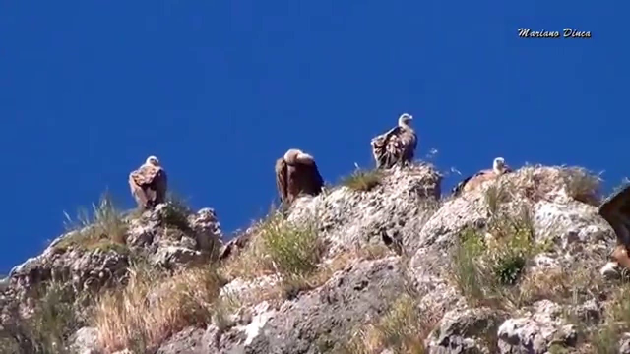 Hoces del Rio Duraton , Provincia de Segovia