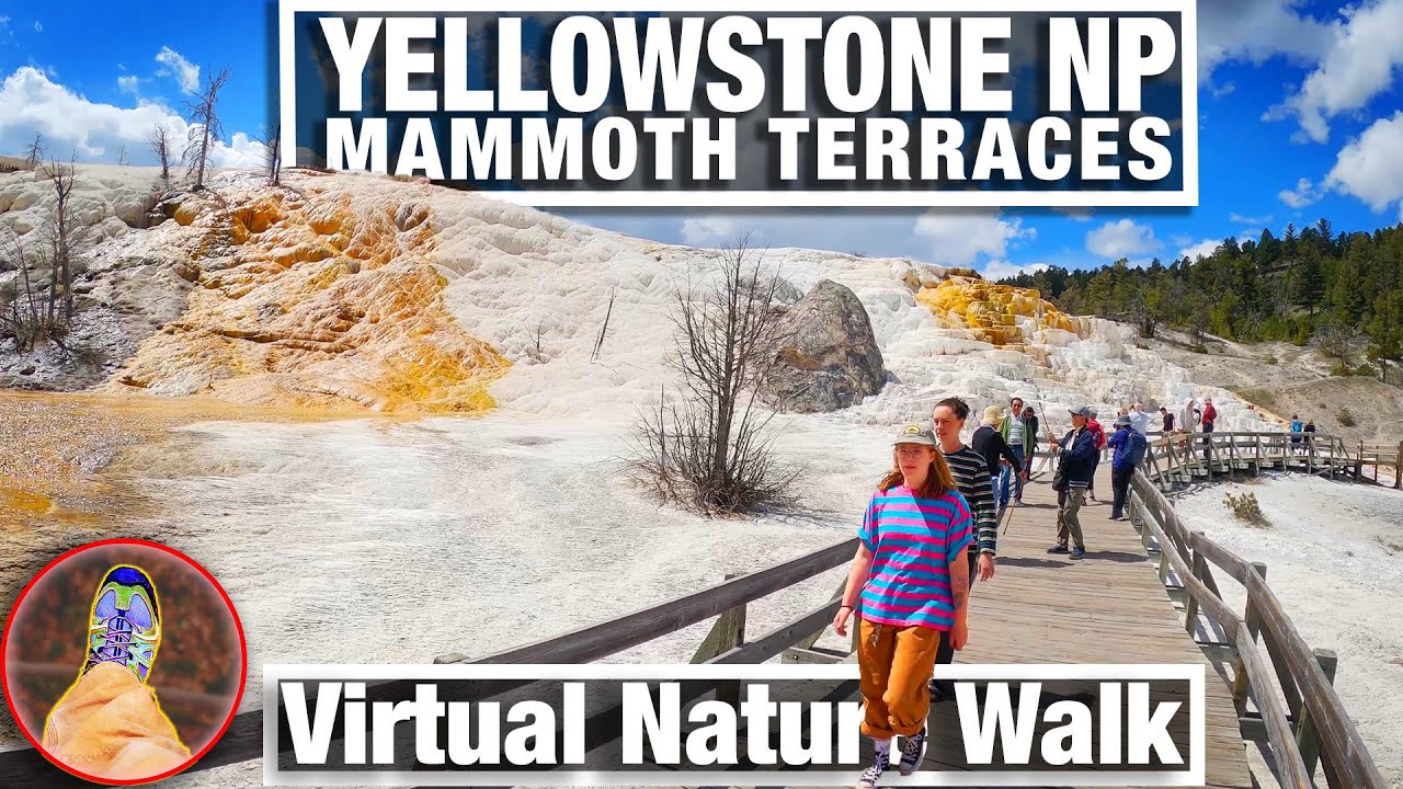 City Walks - Walking Tour Mammoth Terraces in Yellowstone National Park - Virtual WalkingTrails