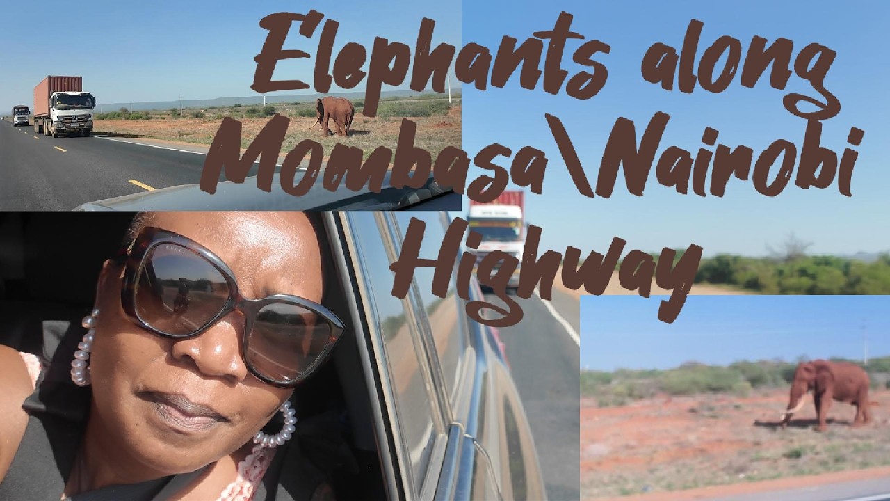 Road Trip\\Mombasa to Nairobi\\Elephants along the highway\\Travel partners @jenerikaberglund