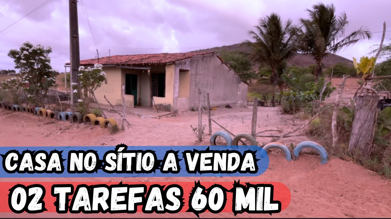 SÍTIO COM CASA SALÃO E MUITAS FRUTEIRAS A VENDA 02 TAREFAS DE TERRA BOA PARA CRIAR E PLANTAR #sitio