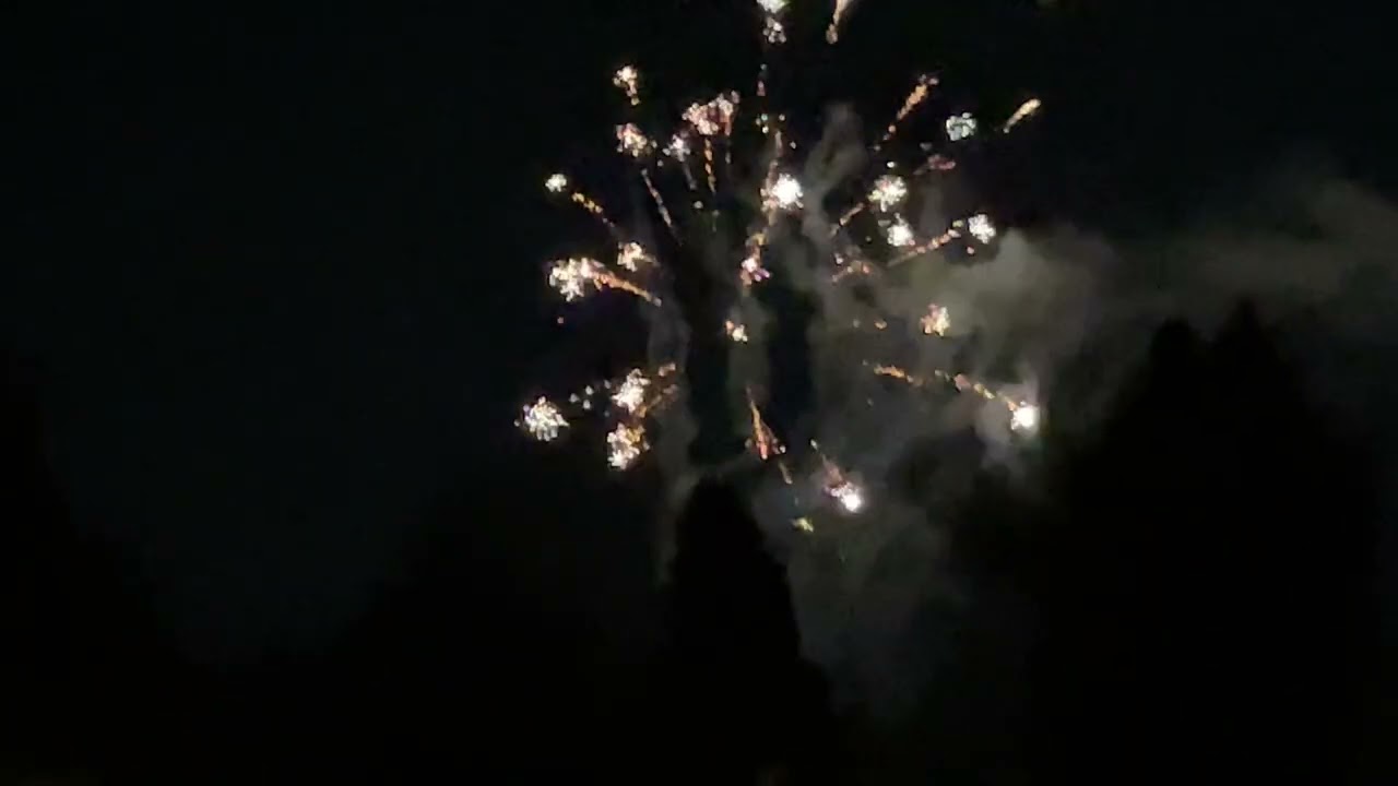  Happy New Year’s thanks for 100 views!!!🎉 🥳🎊￼