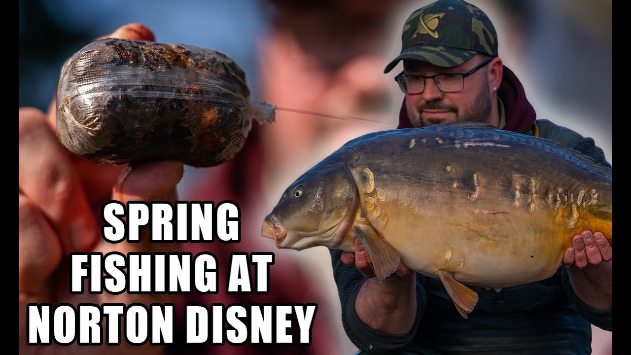 CARP FISHING at Norton Disney 🎣 - Loz East