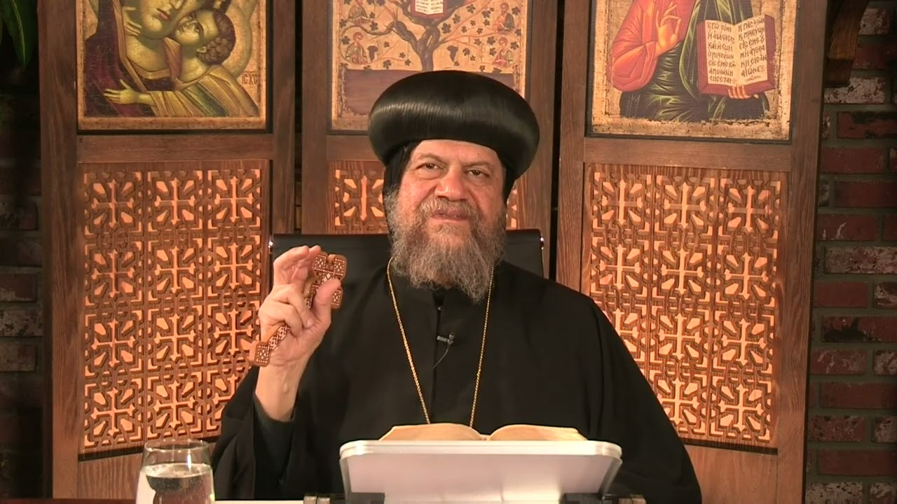 هل كانت توجد حياة علي الارض قبل خلق ادم وهل كانت توجد انواع من الانسان قبل خلق ادم؟- الأنبا سرابيون