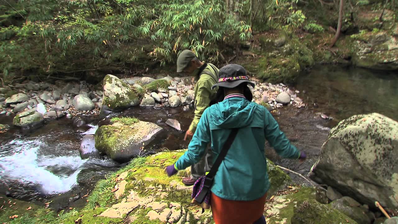 のの花ガールその30.mov
