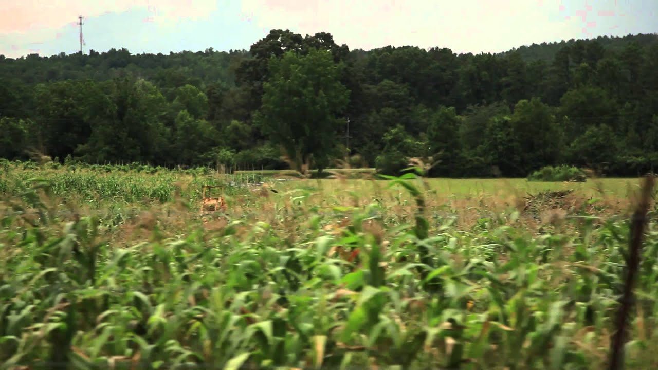 Inside Comet Grove Trailer