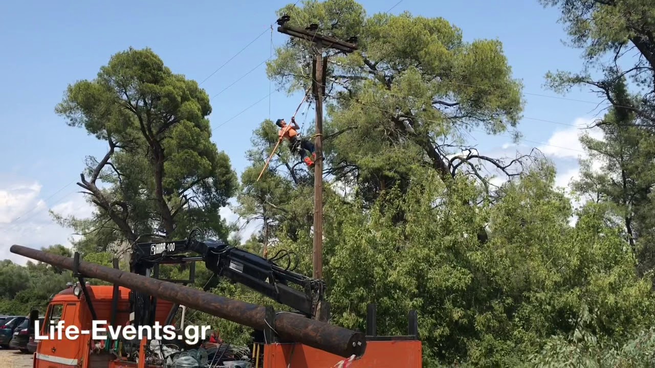 Χαλκιδική: Μάχη με τον χρόνο δίνει η ΔΕΗ για την αποκατάσταση του ρεύματος