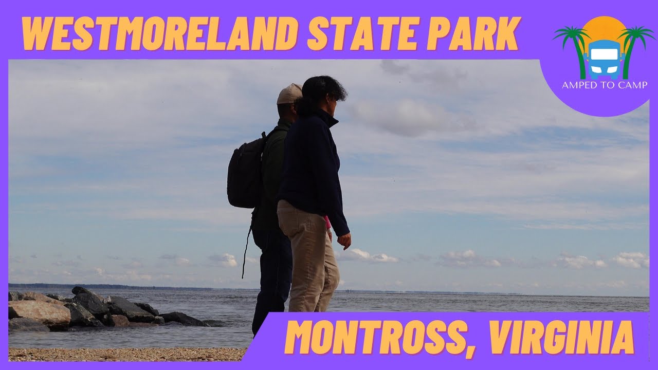 Westmoreland State Park in VA | Virginia State Camping | Fossil Beach