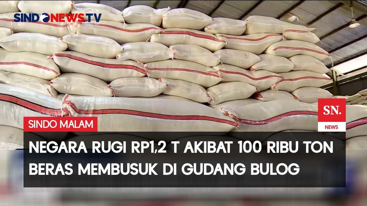 100.000 Ton Stok Beras Impor di Gudang Bulog Rusak, Negara Rugi Hingga Rp1,2 T | Sindo Malam | 09/09