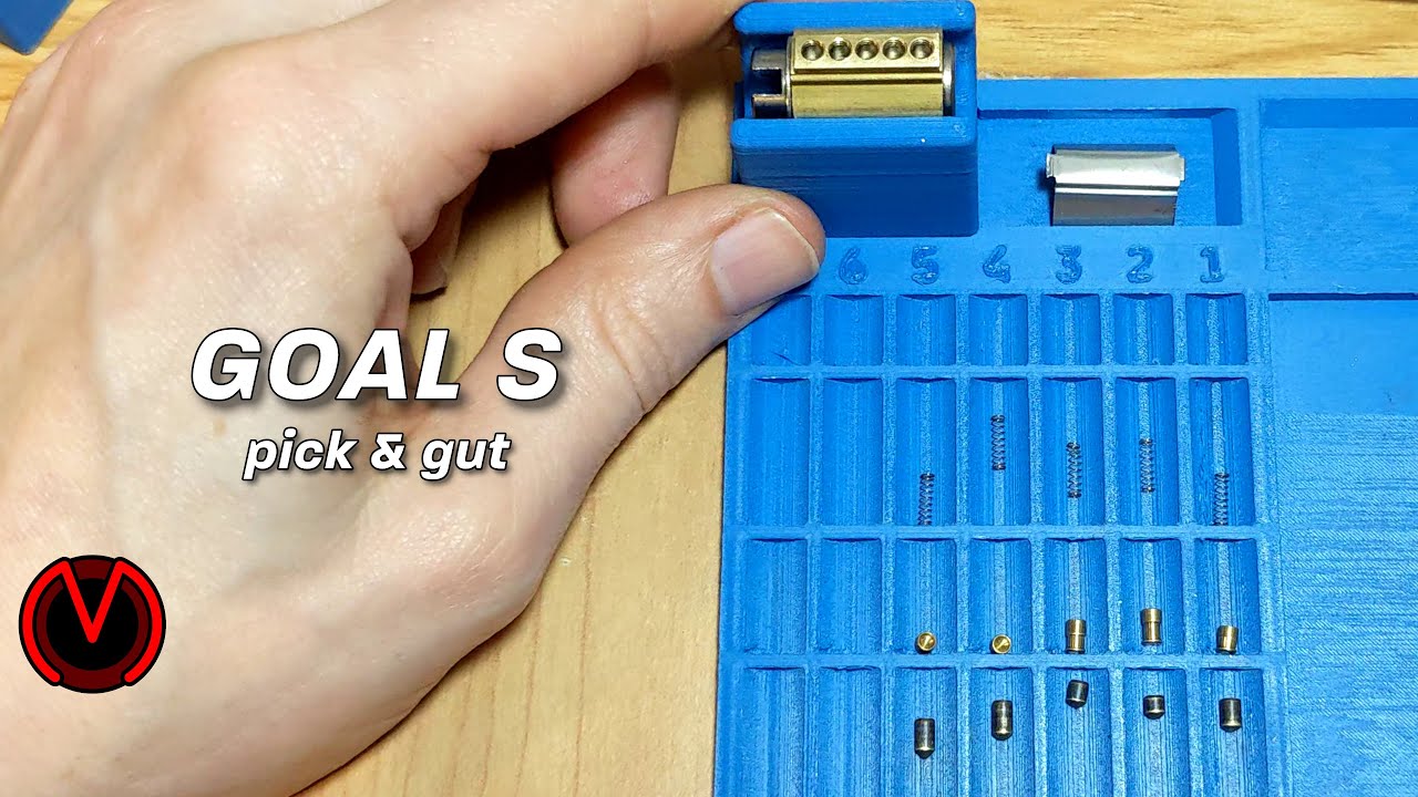 GOAL S - pick, gut, & reassemble (2nd attempt) - blue (1 dan)