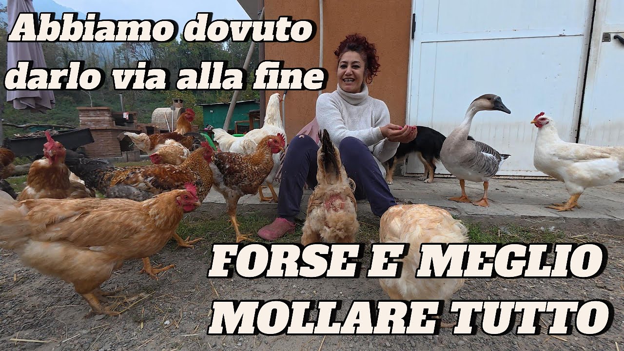 FORSE E' MEGLIO MOLLARE IL CANALE , NON NE VALE LA PENA