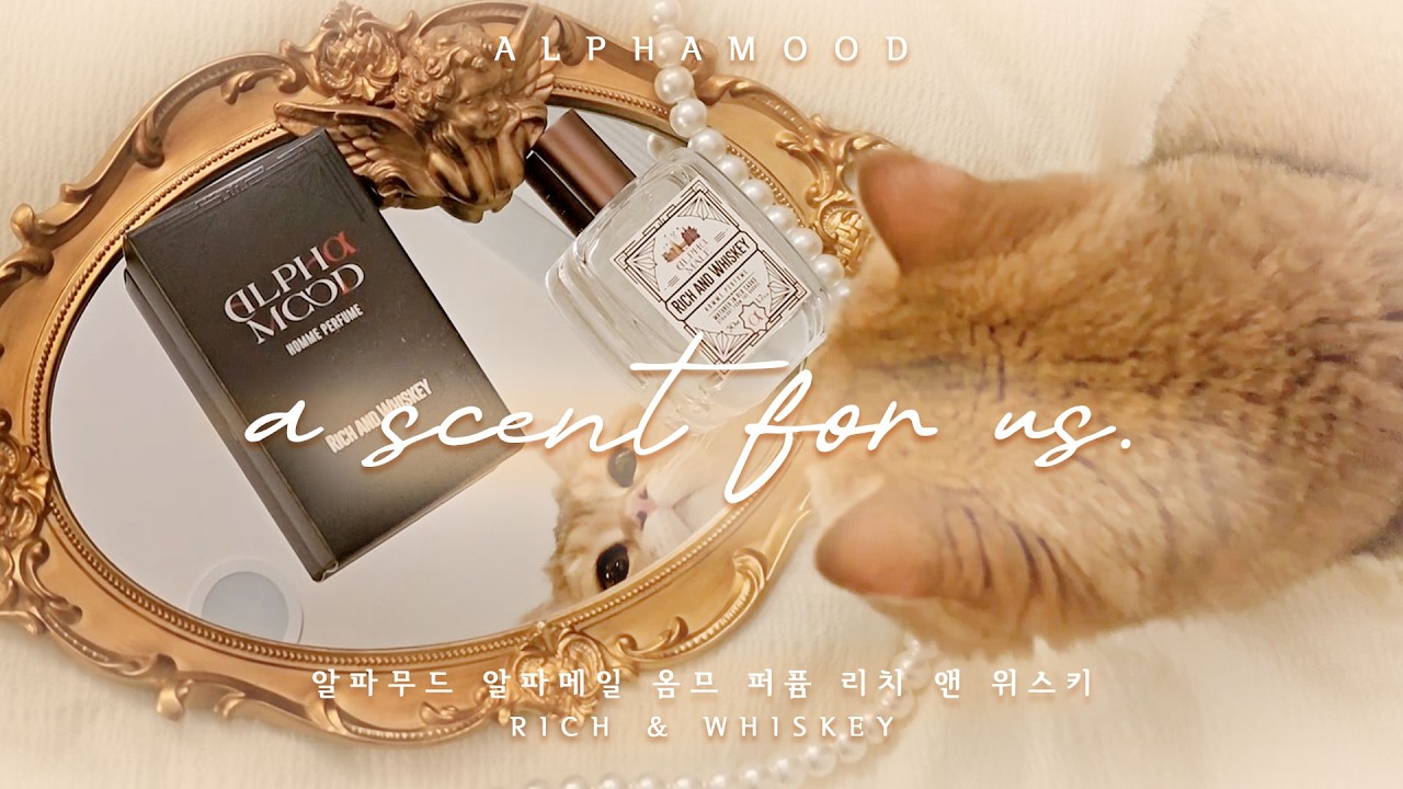 위스키 향 남자 퍼퓸 ⚱💨 알파무드 알파남향수 Alphamood Rich & Whiskey Perfume 🍸 스치기만 해도 여성을 반하게 하는 향!  #남성선물 #남자퍼퓸 #향수