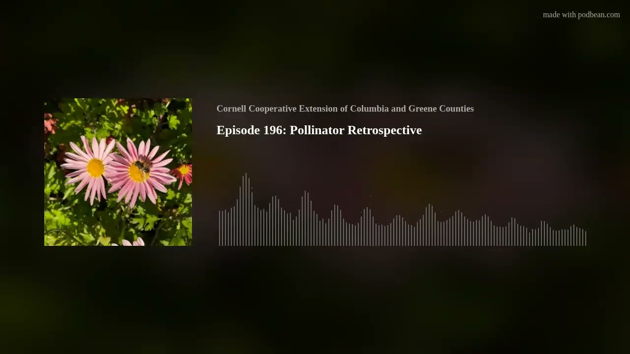 Episode 196: Pollinator Retrospective